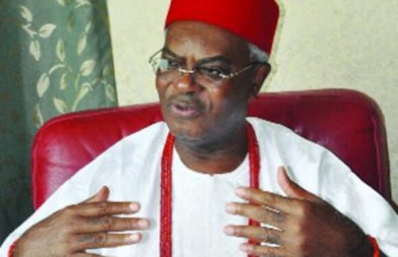 Obi Of Onitsha Appoints Zik’s Son Cabinet Member