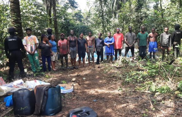 NSCDC Arrests 14 Suspected Oil Bunkerers in Abia Forest