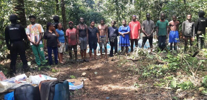 NSCDC Arrests 14 Suspected Oil Bunkerers in Abia Forest