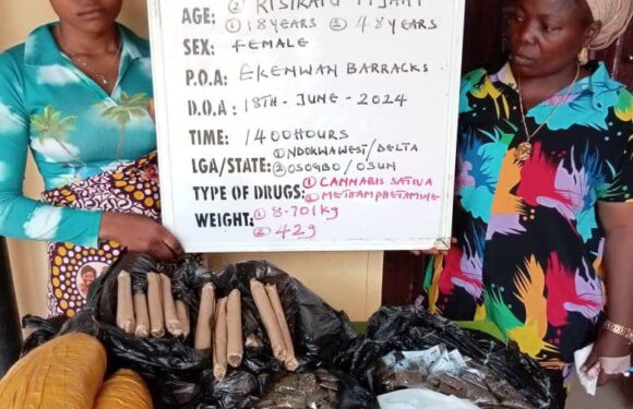 NDLEA bursts snake-guarded shrine loaded with drugs in Edo