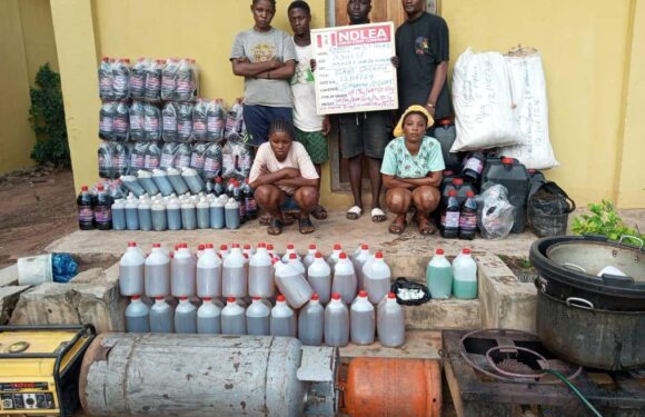 N4.7billion cocaine, meth seized as NDLEA bursts Lagos warehouse, arrests siblings in Aba