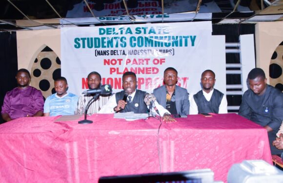 We won’t be part of planned nationwide protest – Delta students