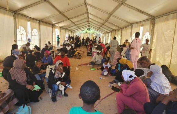 158 Nigerian Irregular Migrants to Libya Repatriated, Says Envoy