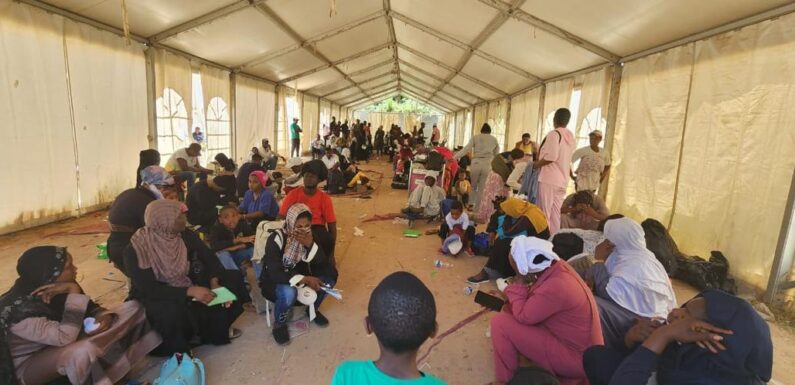 158 Nigerian Irregular Migrants to Libya Repatriated, Says Envoy